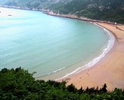 龙湾天气预报60天